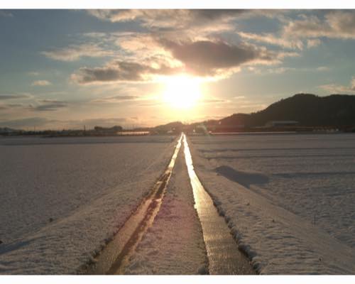 夕焼けの一本道